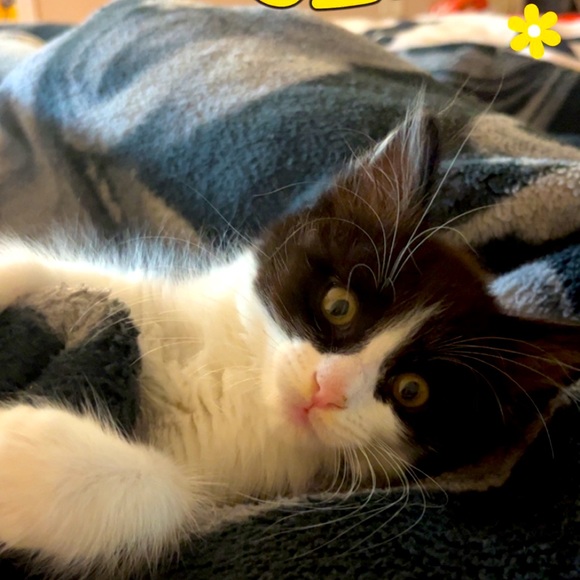 Meet your Posher, Tanehja - Picture 1 of 1